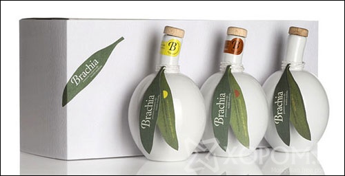 Brachia Olive Oil package design